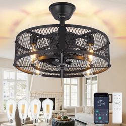 Caged Ceiling Fan with Light: 20" Farmhouse Fandelier with Light and Remote - Black Rustic Chandelie