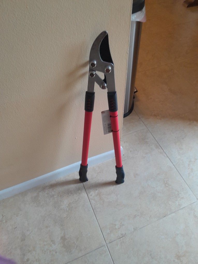 Clippers