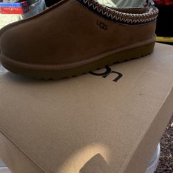 Uggs w Tasman