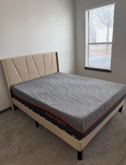 Elegance Frames Single Full King Queen Delivery Available 