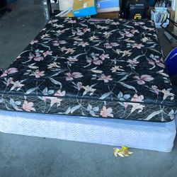 Bed With Box Spring