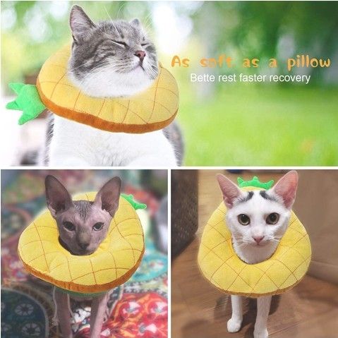 Cute Pineapple Neck Cat Cones After Surgery, Adjustable Cat E Collar, Surgery Recovery Elizabethan Collars for Kitten and Cats