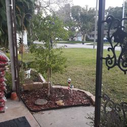 Massive Hot Wheel Collection Parting Out