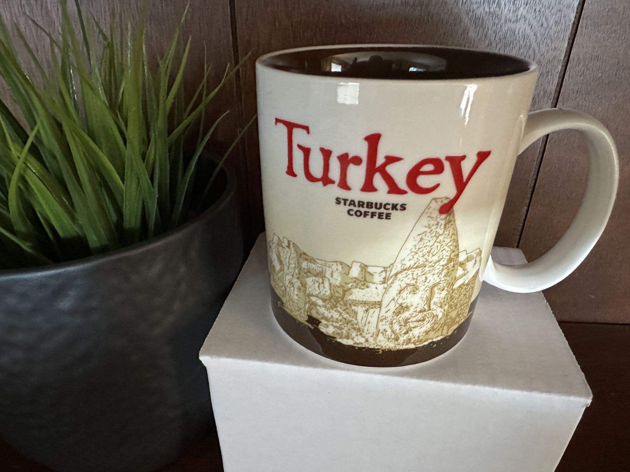 NEW Turkey Starbucks Global Icon Mug With Box
