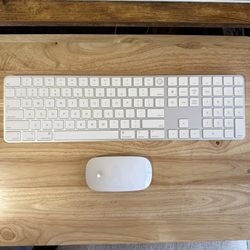 Apple Mouse 2 + Keyboard Touch ID