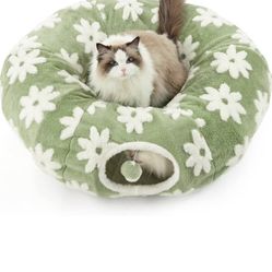 Cat Tunnel