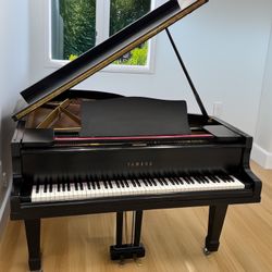 Yamaha G3 Grand Piano (6’1”)