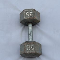 Hex Dumbbell 35 Lb 