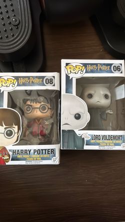 Harry Potter and Lord Voldemort