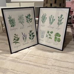 Original Watercolor Frame