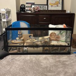 Ultimate Hamster Care Kit