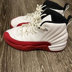 Jordan 12s