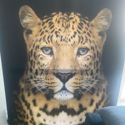 Cheetah Painting 