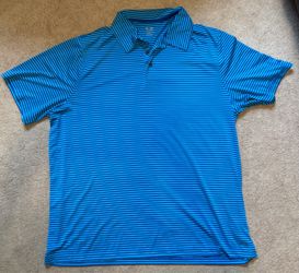 Men’s 2x Champion polo