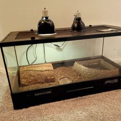 Terrarium Only Tank