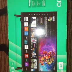 Vizio 24" 