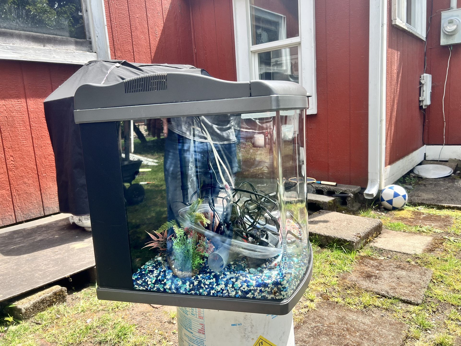 Fish Tank