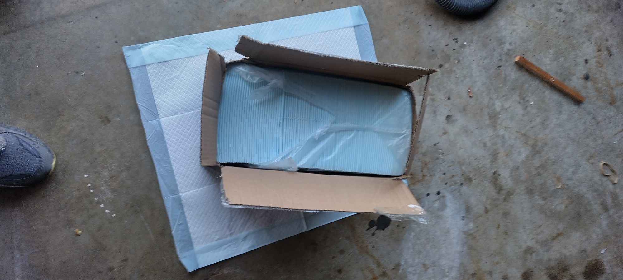 100 Dog Pads