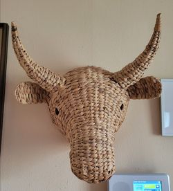 Longhorn Wall Art Home Decor