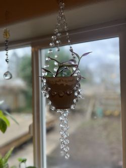 Hanging Plant Holder