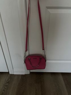 Steve Madden purse