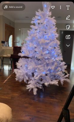 Winchester White Pine Christmas Tree