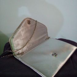 Silver Purse 