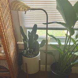 Midcentry Vintage brass Shell Floor Lamp