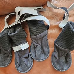 Dog Booty's with adjustable straps