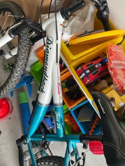 Diamondback Tess 24 Kids Mountain Bike