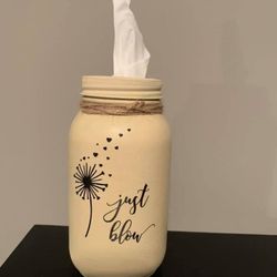Mason Jar Kleenex Holder