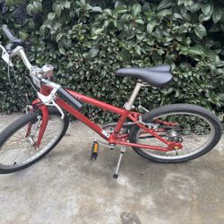Priority  Juvenile Bike 20”