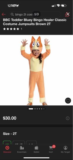 Bingo costume