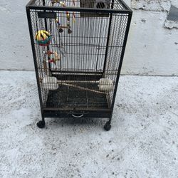 bird cage