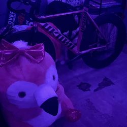 Pink Unkwown 