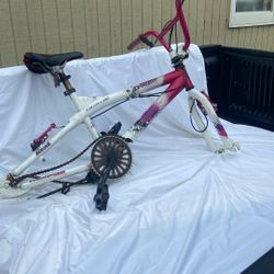 This Little Bike Screaming To Be Saved 