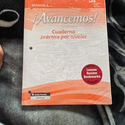 Advancemos college workbook