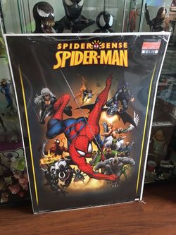 Superhero Spider-Man comic book huge poster