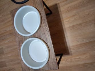 Elevated dog food and water