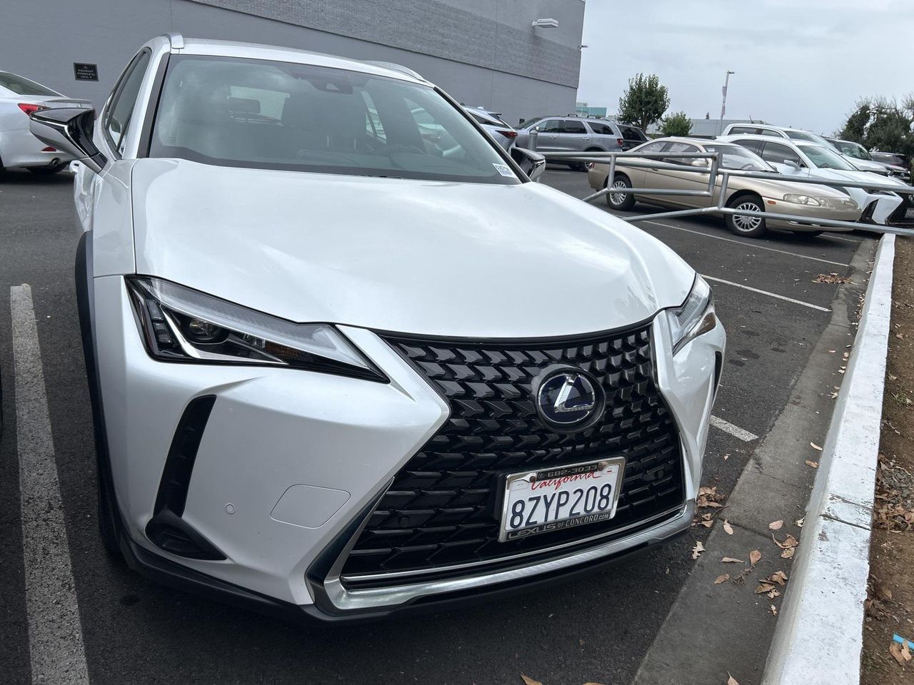 2022 Lexus UX 250h