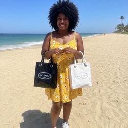 The SCOOP New York NYC Handbag Tote Shopping Bag Purse 