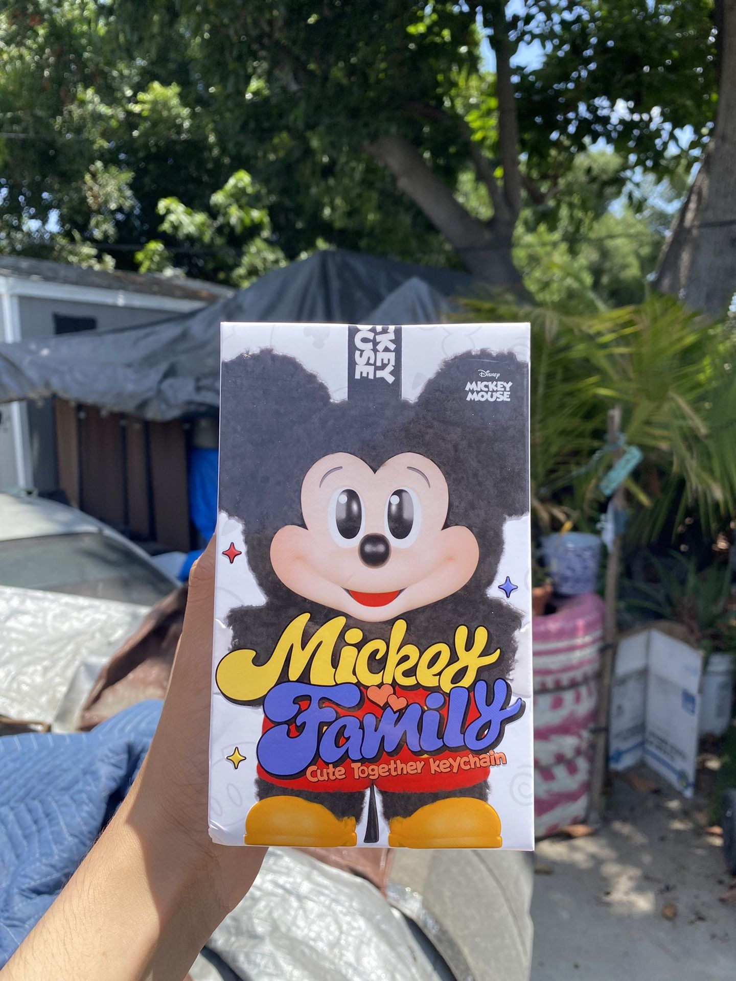 Disney Labubus