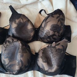 Lane Bryant Cacique Brass