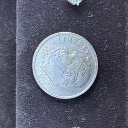 Tiffany & Co  Plat Diamond Earnings 