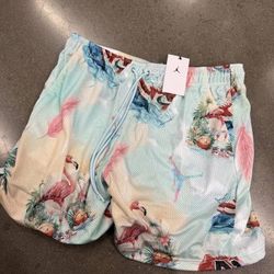 Jordan Flamingo Shorts