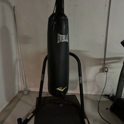 Everlast Bag, Stand, And Gloves