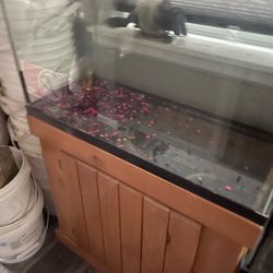 36-Gallon Fish Tank/Stand/LED Light/Fluval Heater/Glass Lid