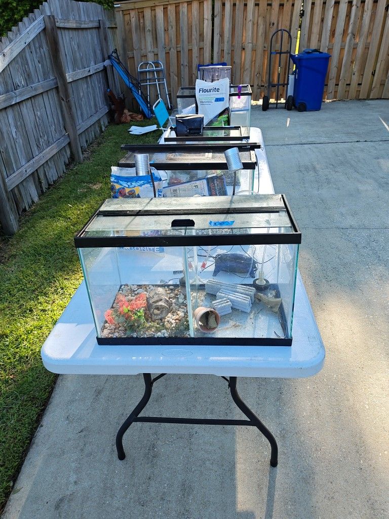 Multiple Aquariums With Many Accessories
