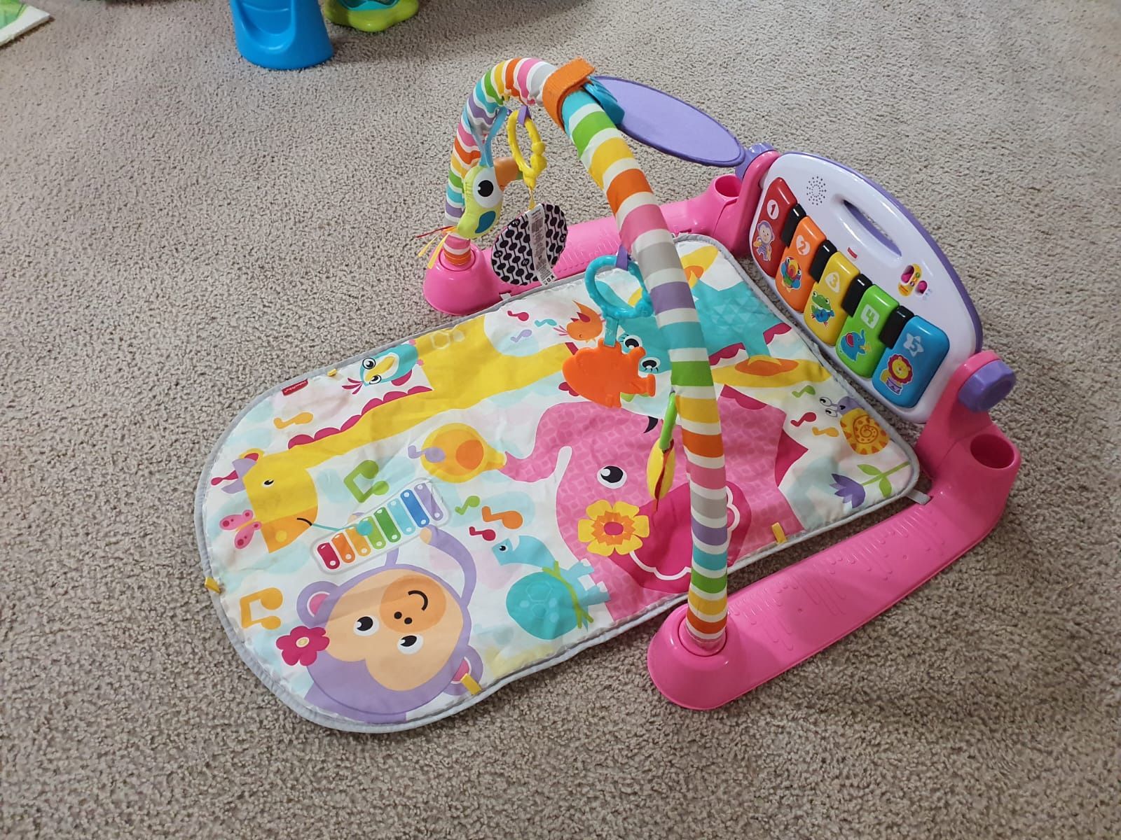 Fisher Price Baby Gym