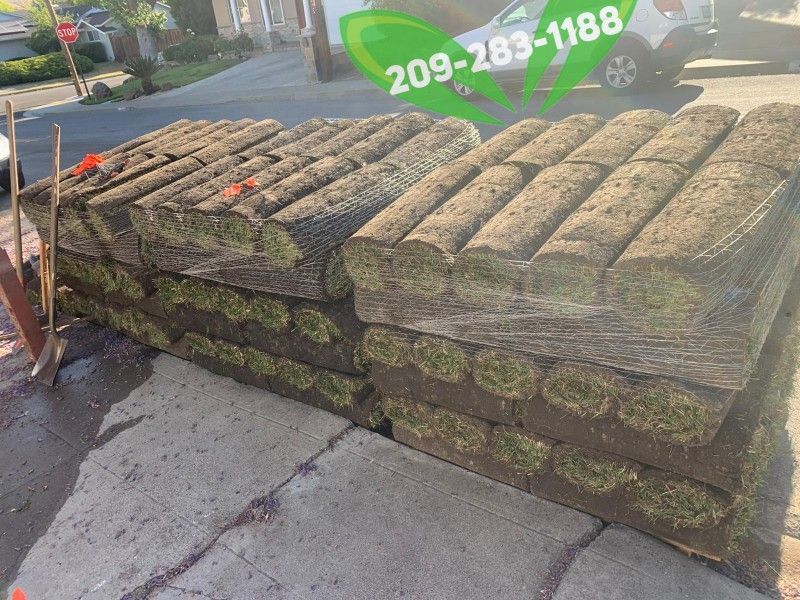 Best QUALITY Sod